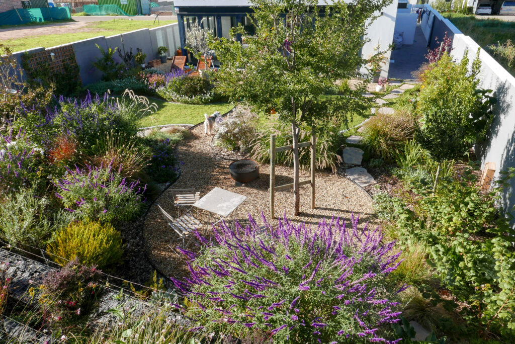 Mixed textural perennial planting, residential garden in Raithby, Stellenbosch